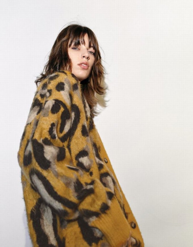 Multicolor Urban Revivo Leopard Printed V-Neck Knitted Women's Cardigan | 87694ARUE