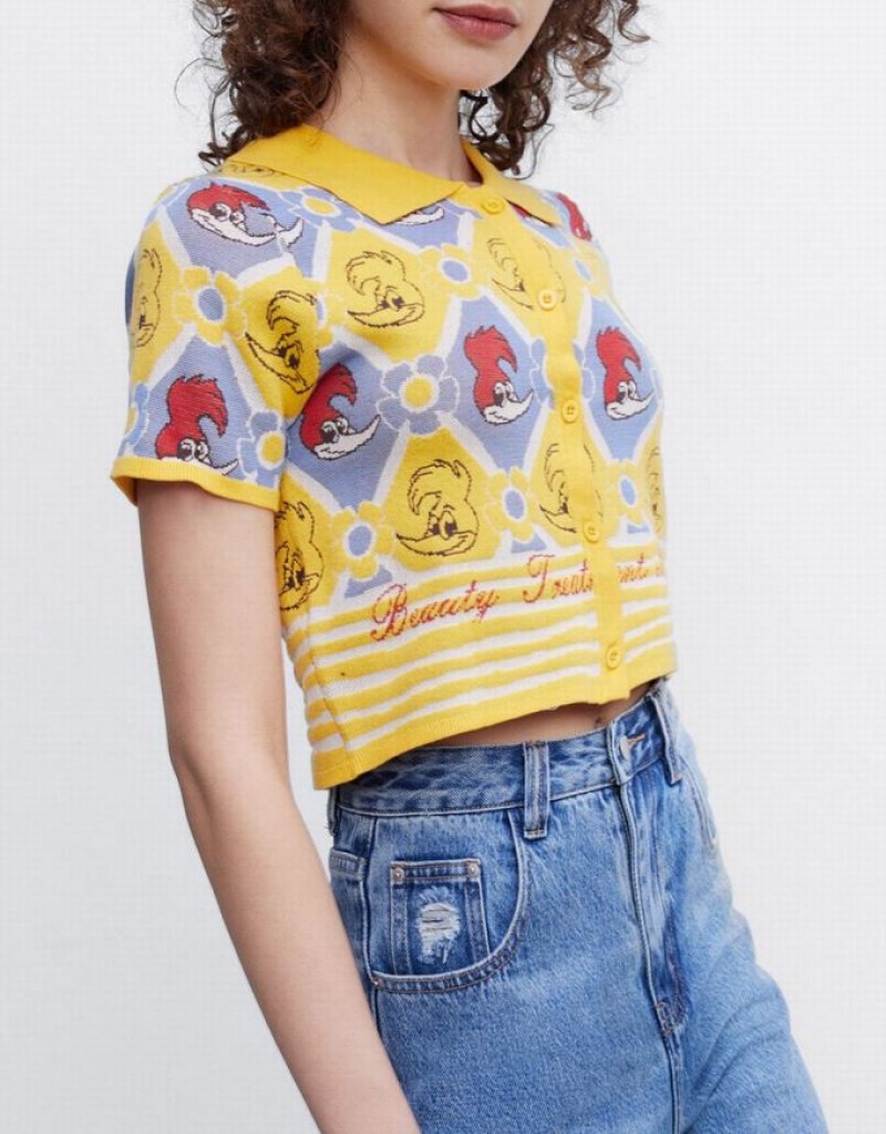 Multicolor Urban Revivo Woody Woodpecker Plaid Short Sleeve Women's Cardigan | 45076URSL