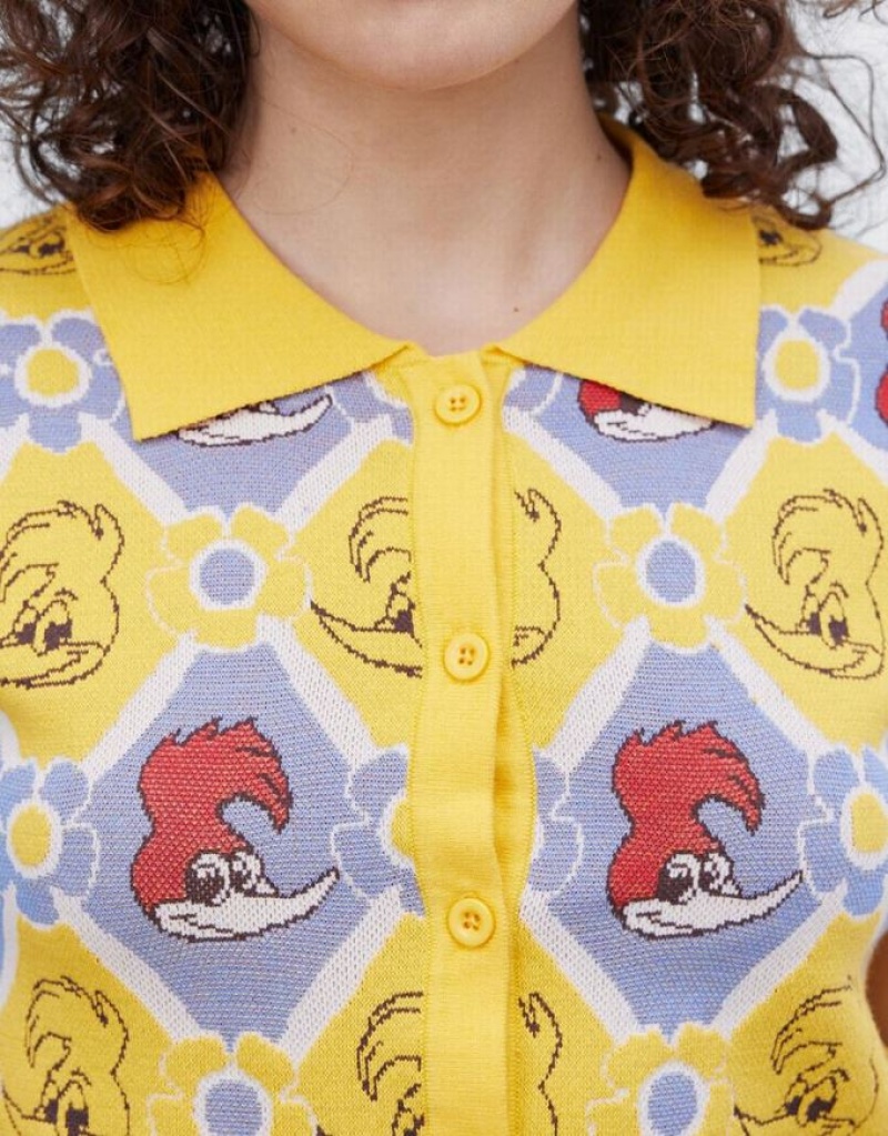 Multicolor Urban Revivo Woody Woodpecker Plaid Short Sleeve Women's Cardigan | 45076URSL